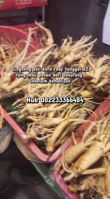 @viky_lihun5