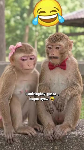 @lone girl 223