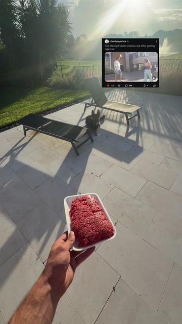 @hexumlite
