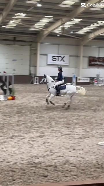@amelia_showjumping2