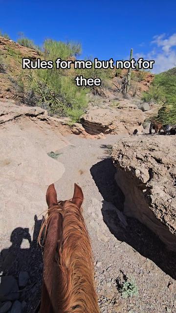 @🐎🐴picture perfect🐴🐎