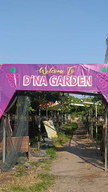 @DNA Garden