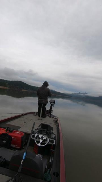 @Punkin Jigs