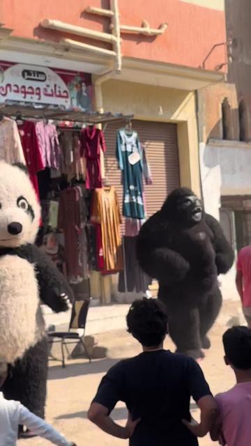 @بودا بتاع غوريلا🦍🔥