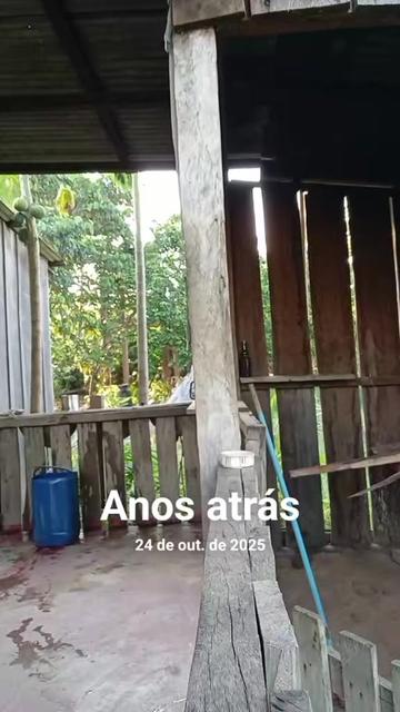 @juju..ribeirinha..de..Rond&ocirc;nia