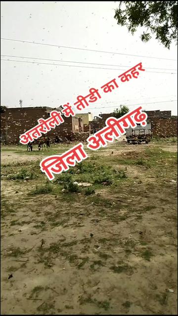 @Akash chauhan