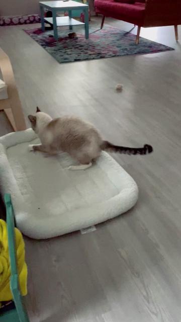 @Kay