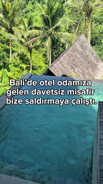 @Tipsiz Family