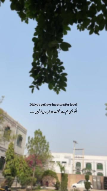 @Laiبa🥀💫
