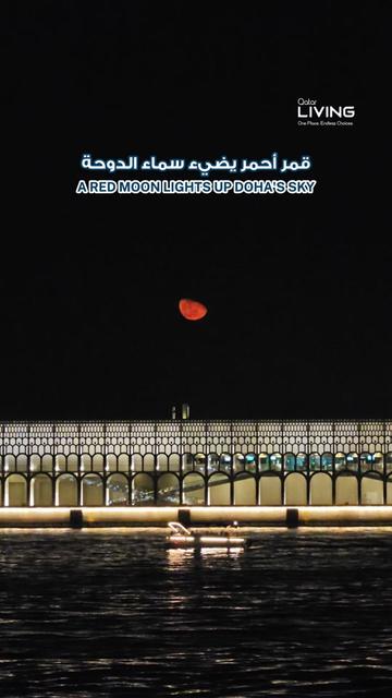 @Qatar Living