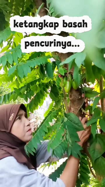 @Bubun Ganeas