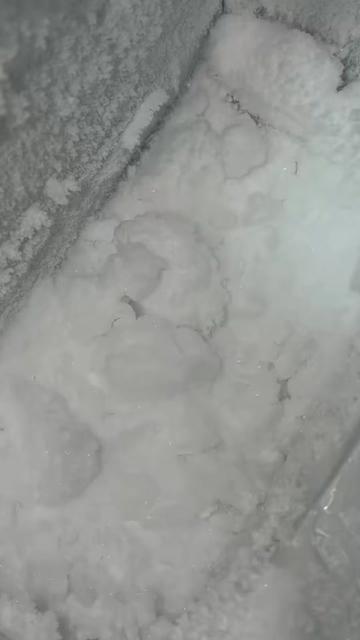 @ICEE🩷