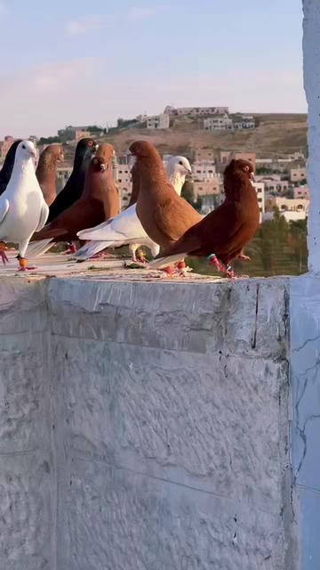 @اسماعيل