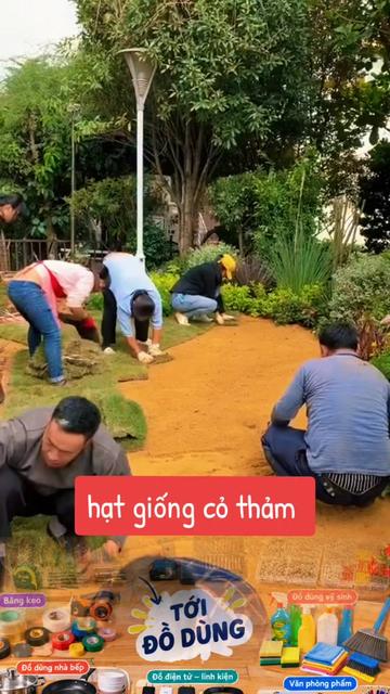 @tới đồ dùng