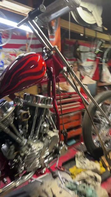 @Boneyard Gnat