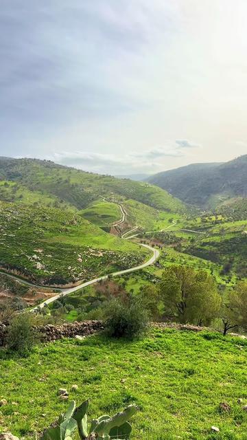 @Leen Wadi