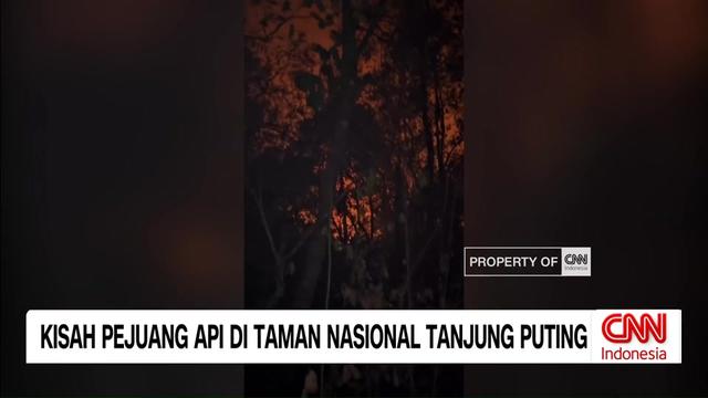 @CNN Indonesia