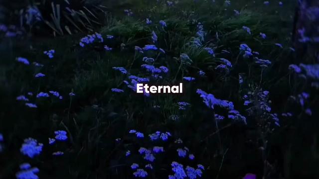 @axxi