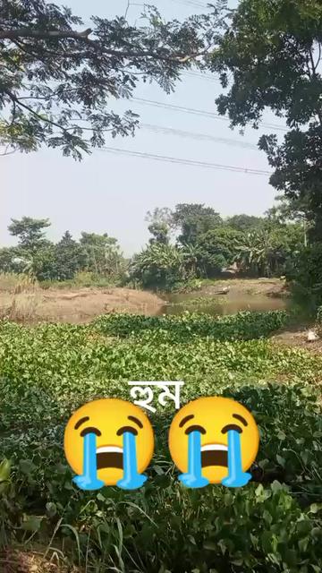@ashikkhan
