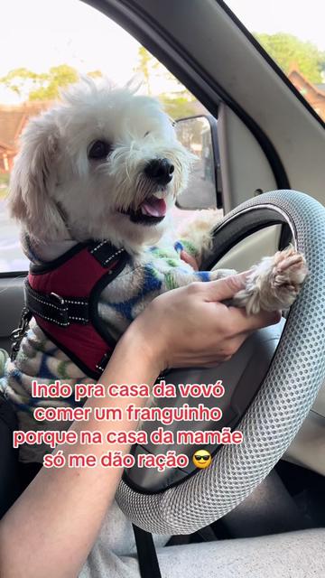 @Meus Olhos por A&iacute;