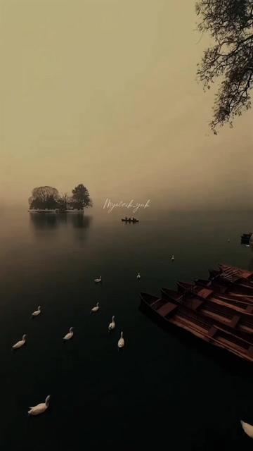 @ꪑꪗꪮ੦ɀỉƙ_ꪗꪖƙ ♪♫♬ 🧬