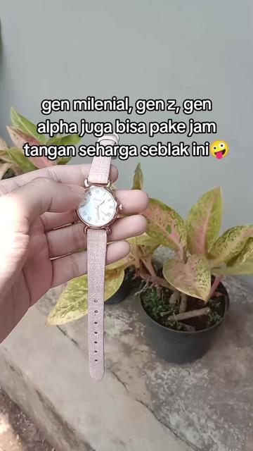 @S-tetik 🛒
