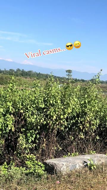 @๐ทโโญ๐ฒโ๐ชโโญ