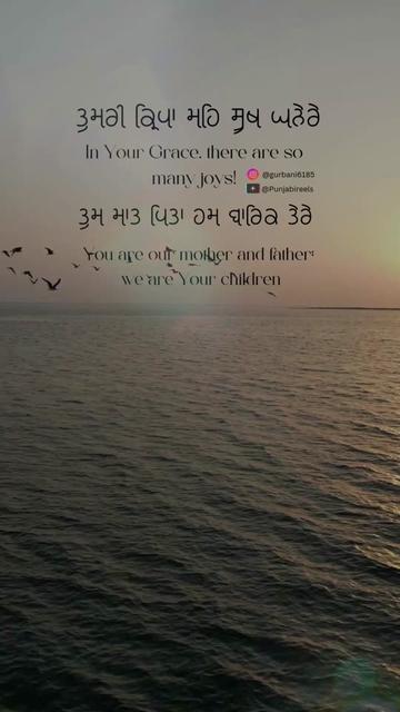@Punjabireels