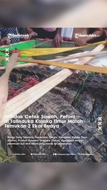 @Tribunnews Sultra Official