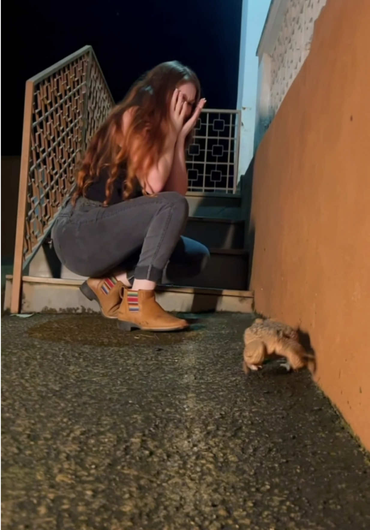 @A ruiva da ro&ccedil;a 🍁🐄