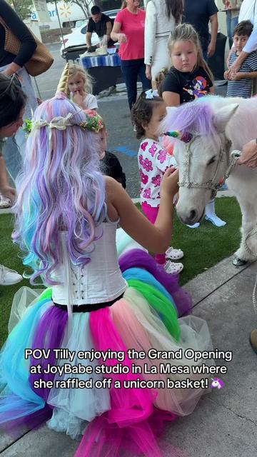 @The Posh Unicorn