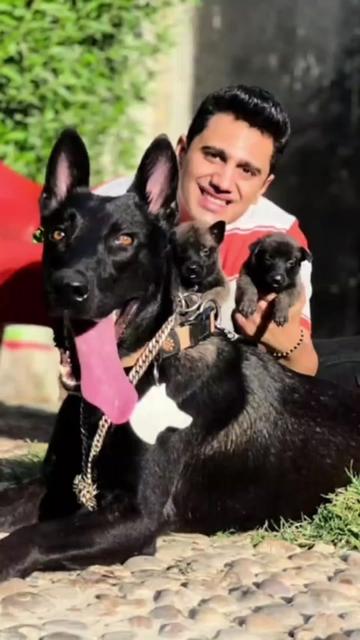 @The pet post