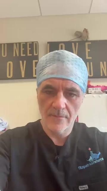 @profnoelfitzpatrick