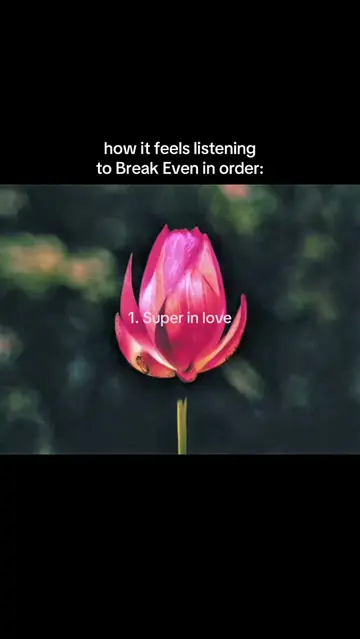 @°❀⋆𝘭𝘶𝘭𝘶⋆.ೃ࿔*