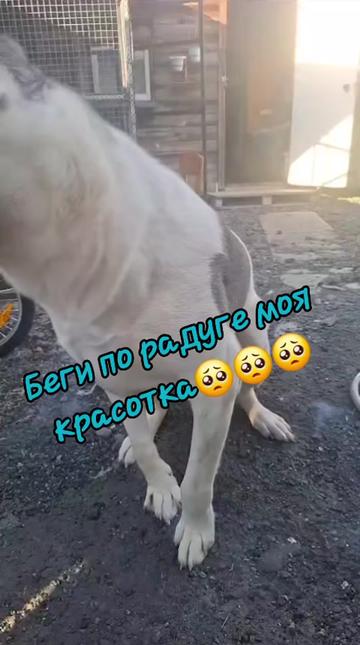 @*ШАЛЬНАЯ ИМПЕРАТРИЦА*
