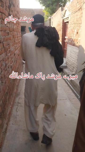 @قاسم علی