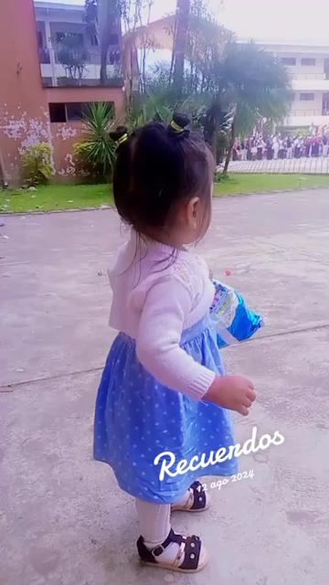 @carmenbenegasmamani