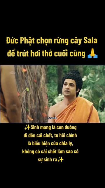 @🍃Theo Bước Ch&acirc;n Phật