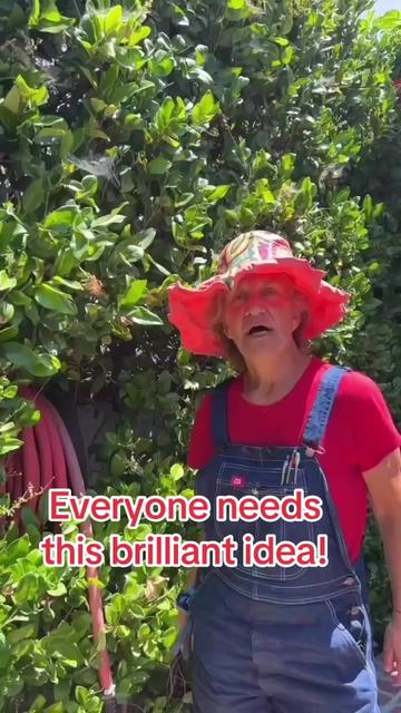 @firmlyplanteddesigns