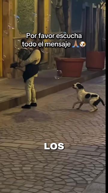 @CurioTemaS