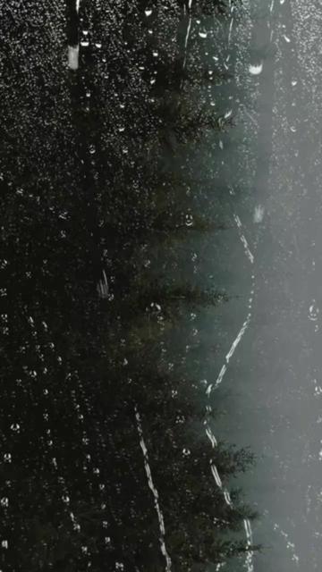 @Tejasvi