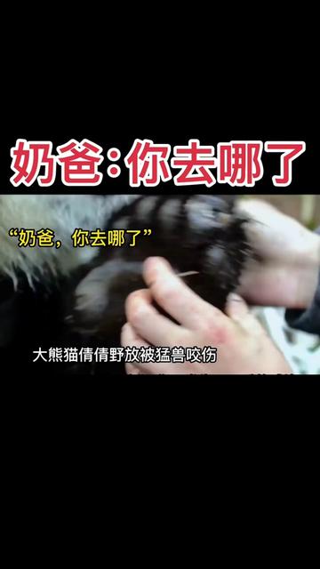 @一生等待