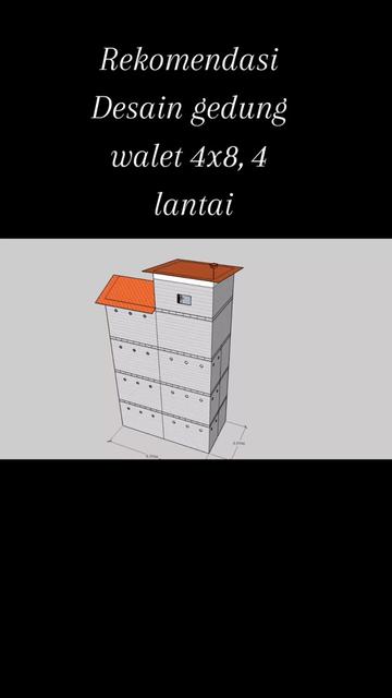 @Walet Rimba Kalimantan