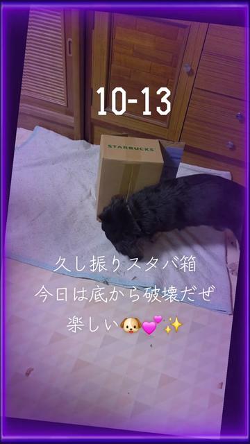 @hiro110