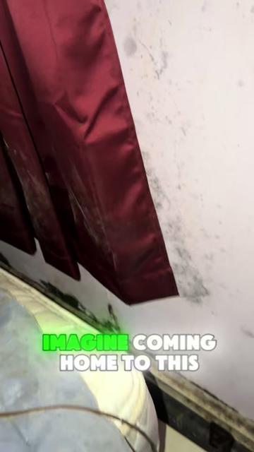 @Long Island Mold Guy