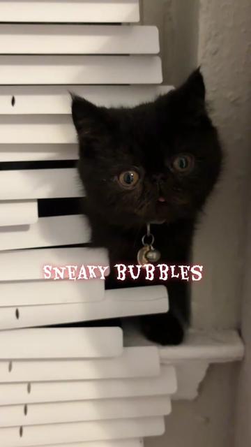 @Bubbles