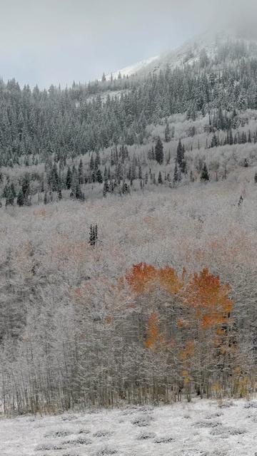 @Jeferson ๐๏ธ Utah