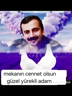 @mehmet g&uuml;l&ccedil;in