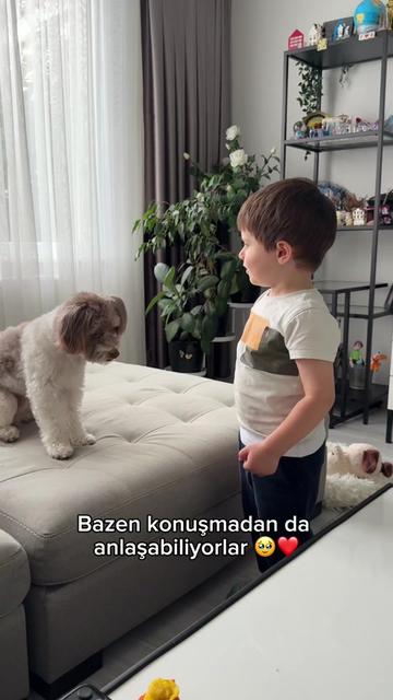 @Tipsiz Family