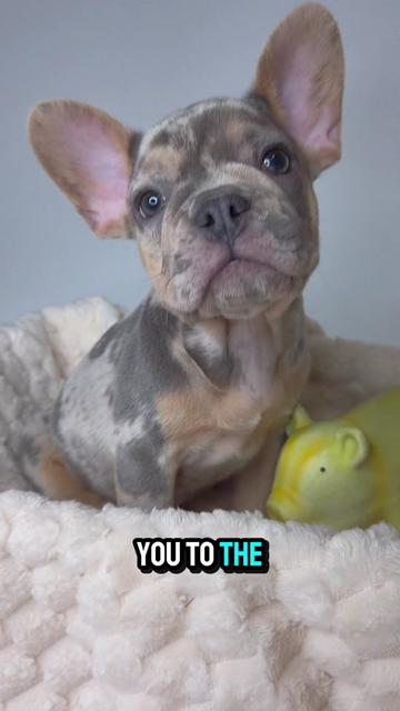 @Petland Oklahoma City